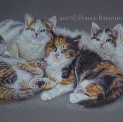Precious Moments - 86 hours
Elephant Colourfix Smooth
16.5" x 26.5"
Laila's 7th litter - 2015